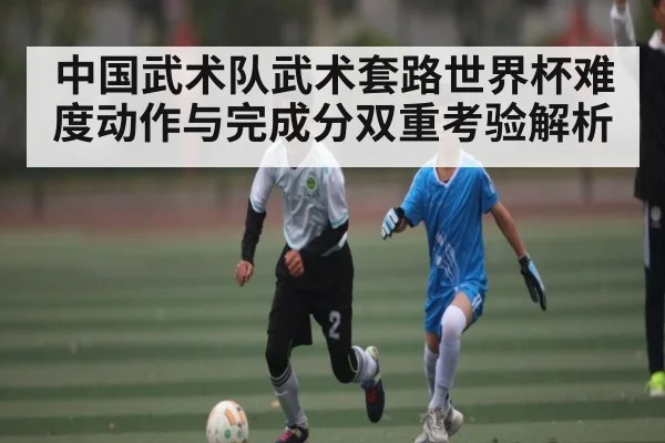 中国武术队武术套路世界杯难度动作与完成分双重考验解析